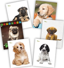 New Generation - Puppies - 2 Pocket Folder / Portfolio, 6 Pack,